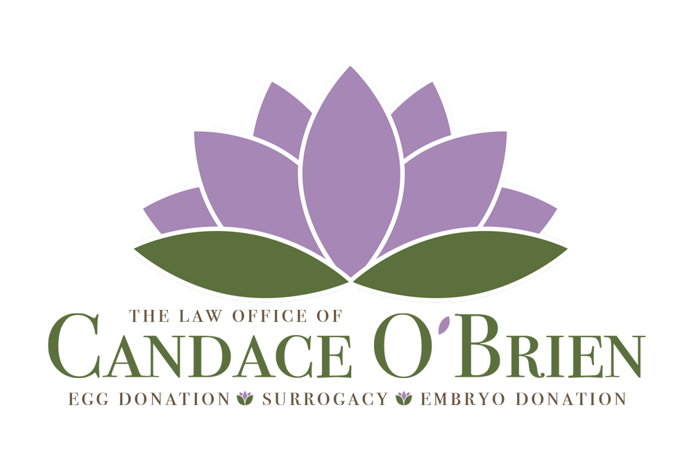 Law Office of Candace O'Brien logo — purple lotus